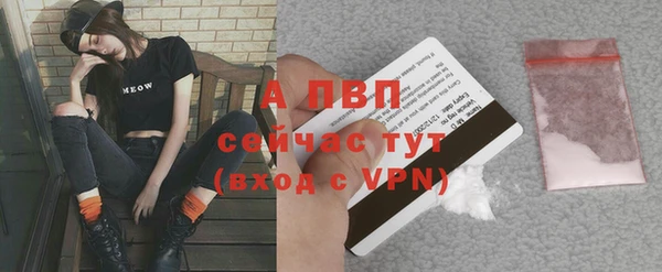 эйфоретик Нефтекумск