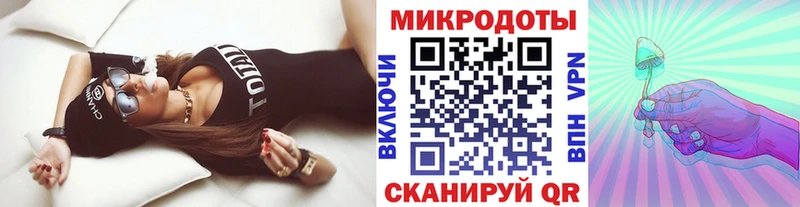 Купить закладки  Котельнич  Галлюциногенные грибы Psilocybe 