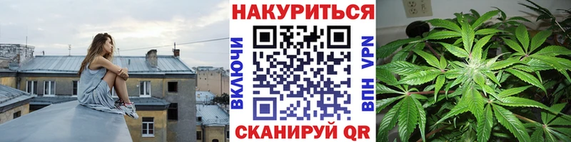 Купить  Котельнич  МАРИХУАНА конопля 